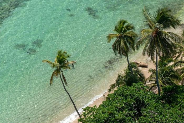 Resort Villas | 2 hab con piscina y playa