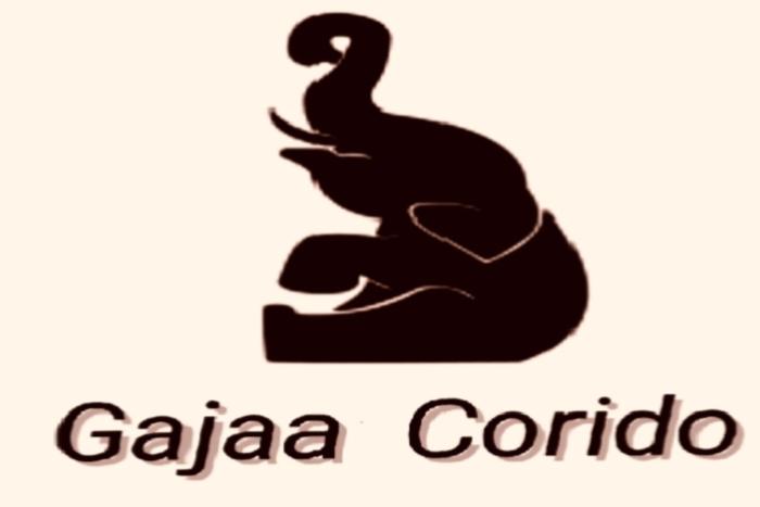 Gajaa Safari Homestay