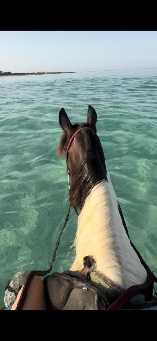 A casa di nonna Ivana in Salento - Bilocale con cucina a 50 mt dal mare - in pieno centro - ideale anche per linverno