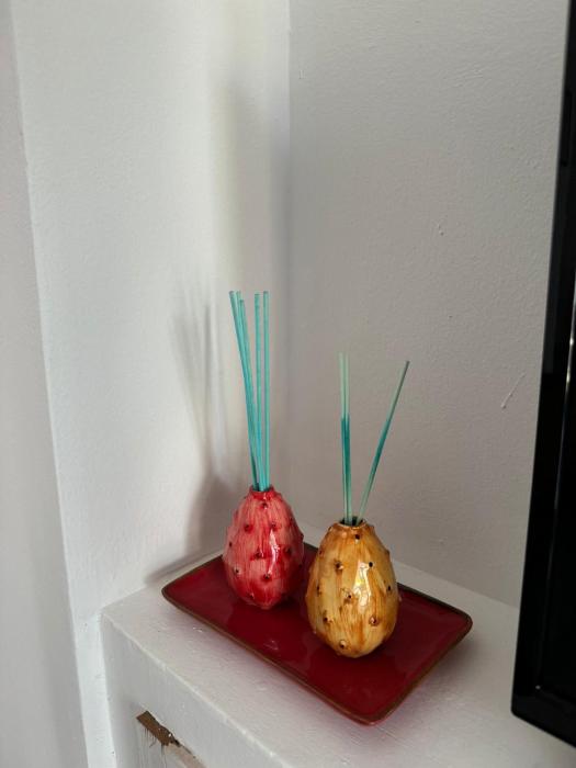 Plumeria La casa di Francesco