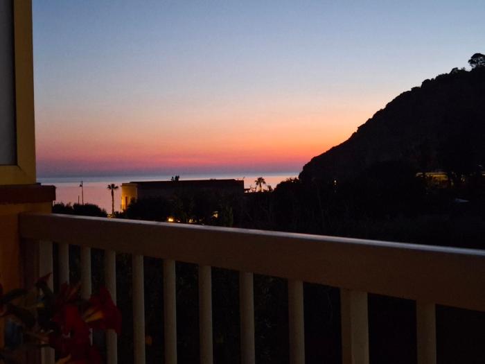 Il giardino delle magnolie