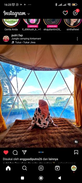 Jungle camping kintamani