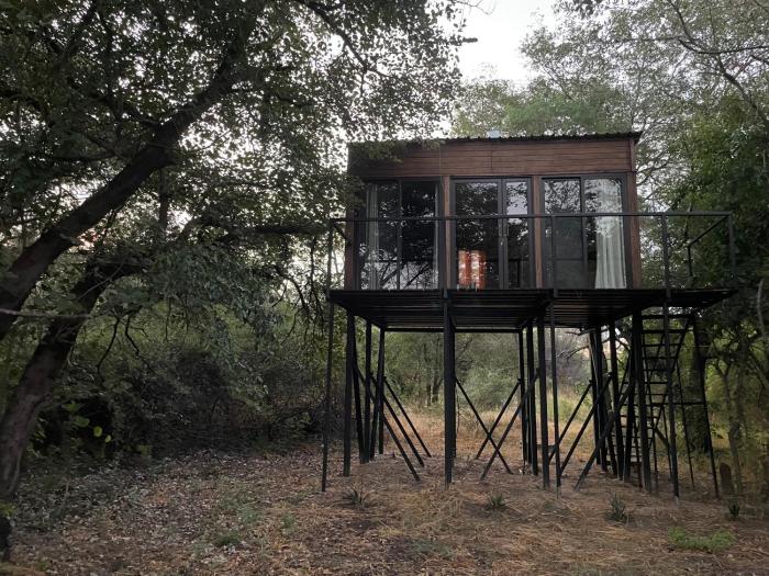 Roots in the River Lodge