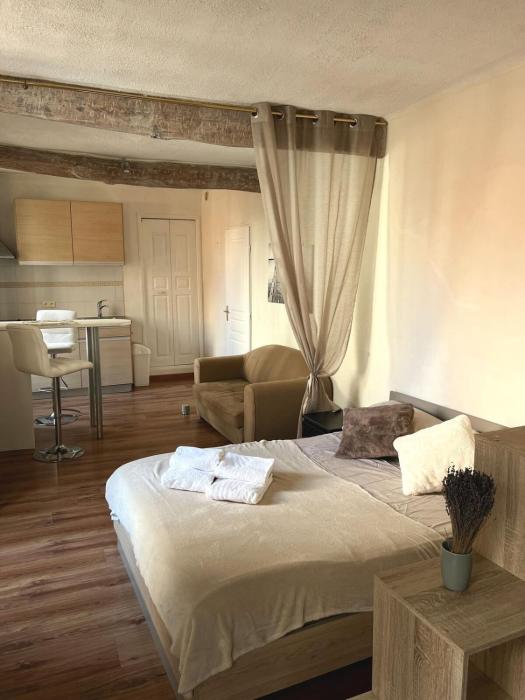 Petit Palmier Promenade Studio