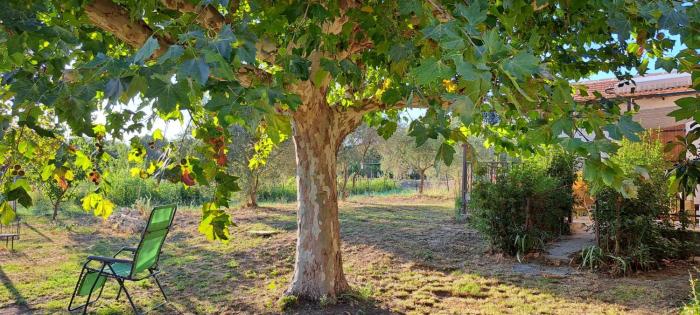 Campagne Carbonel