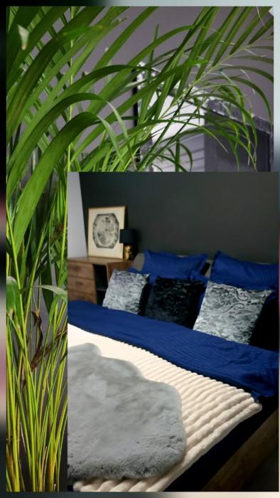 GLAMOUR Style Apartment