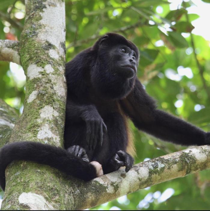 Beautiful Family Farm in Pacoche