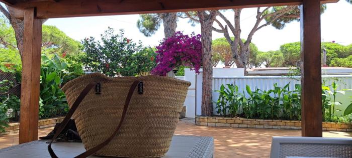 Doña Violeta - La Barrosa