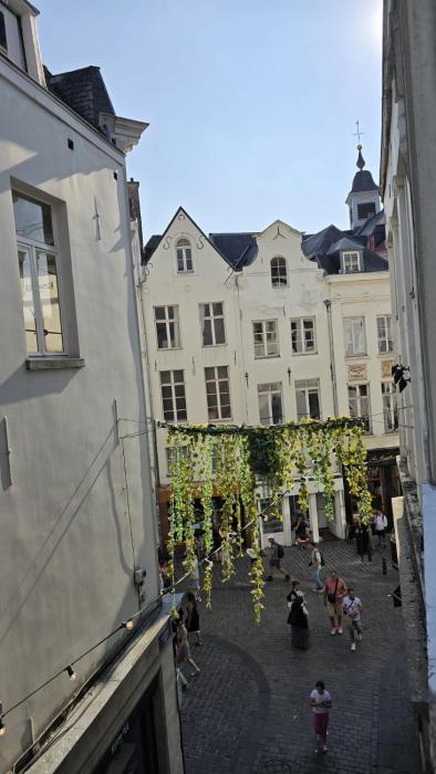 Royal sleeping Brussels