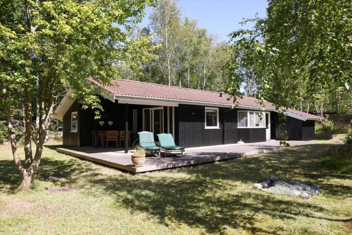 13359-Hojby-Manestien-63