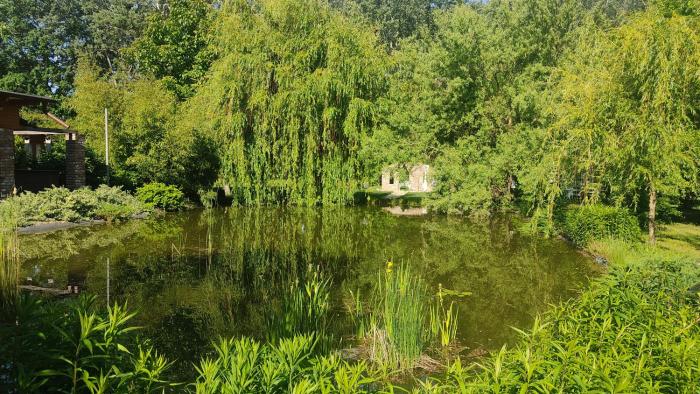 Csereerdő Szíve Vendégház