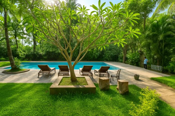 1 bhk Home Palolem Beach