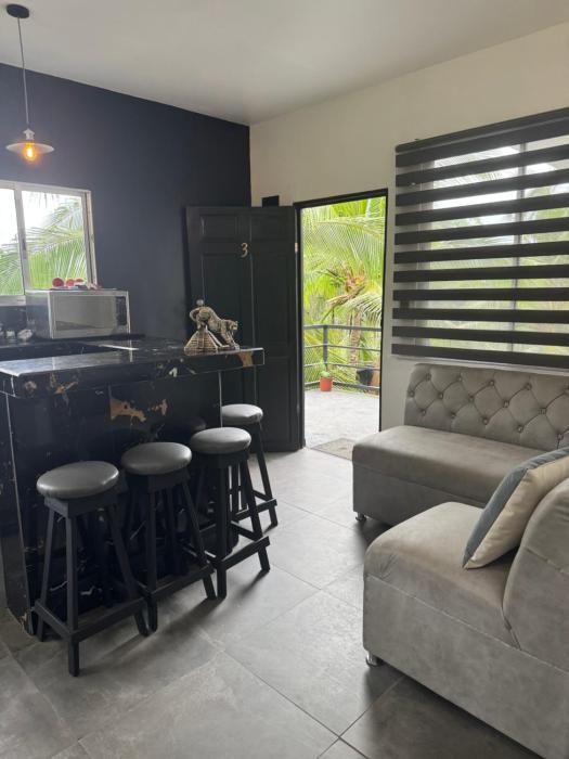 Selva y Confort #3 AC