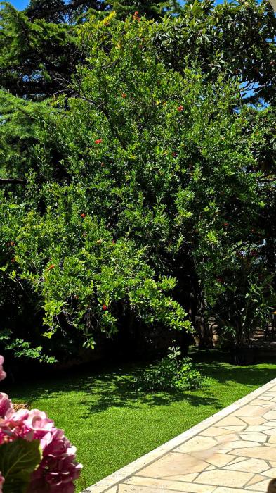 Apartments Seagreen Villas