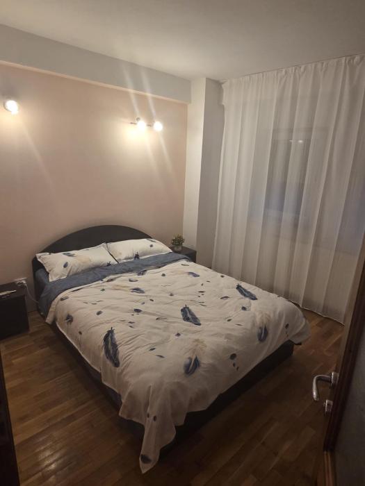 Casa Vasy