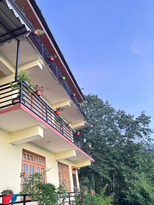 Pine Valley View Homestay