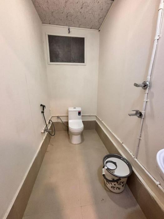 Gauriya The Bay Leaf