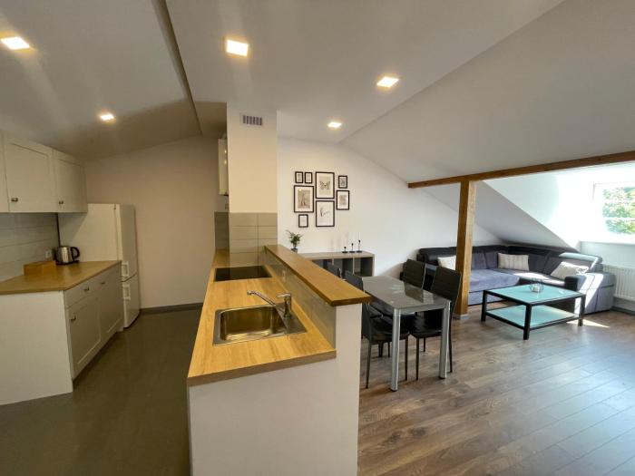 newTown City Center Apartment Kaunas
