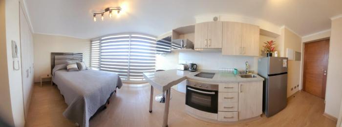 Dpto Chillán x dia 1613