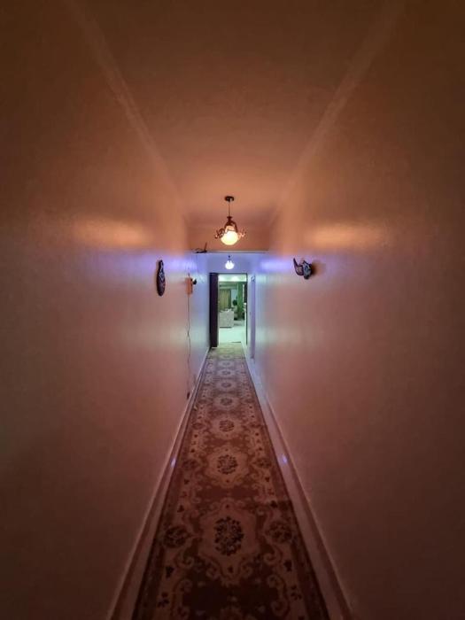 Apartment for Rent in Degla Maadi