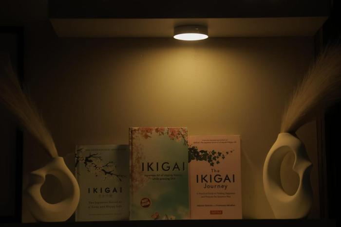 Ikigai Stay 3BHK Duplex