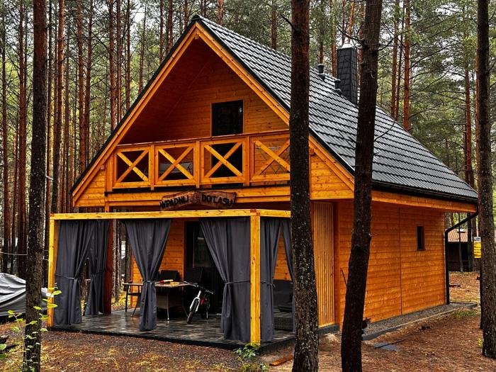 Wpadnij Do Lasu , sosenka