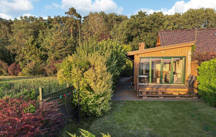 Nice Apartment In Nowe Warpno With Wifi