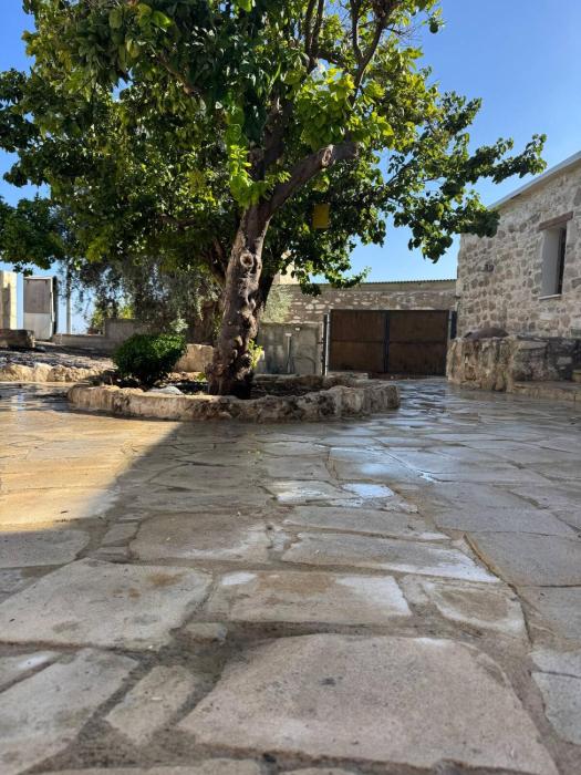 cozy house with indoor fireplace