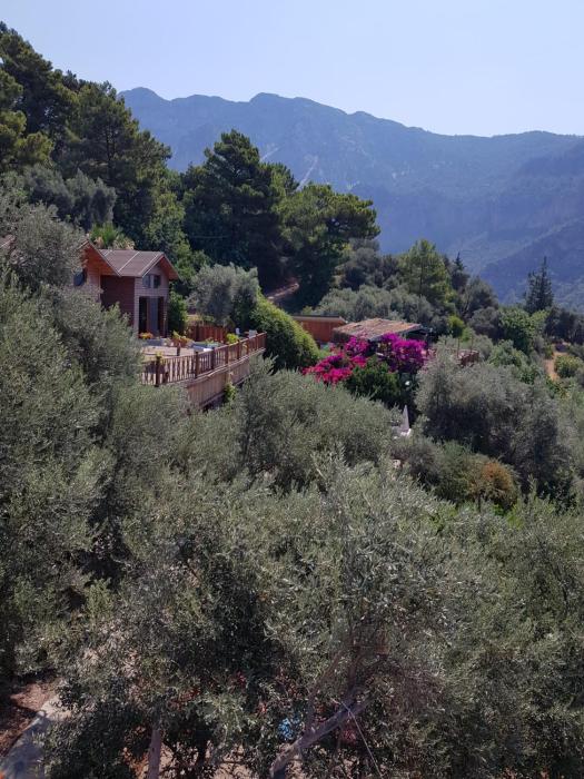 Kabak Armes Otel