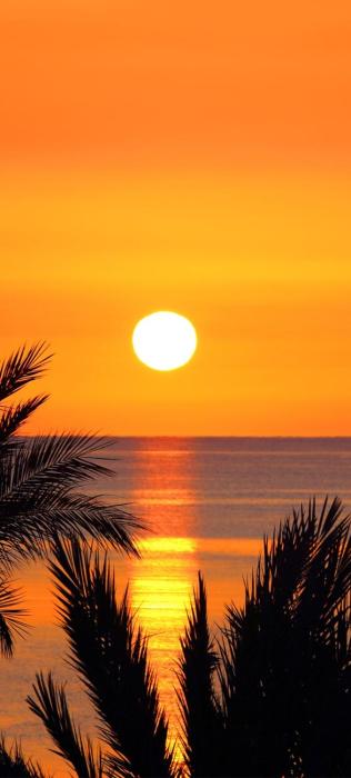 Dream View Mountain Cabin 2