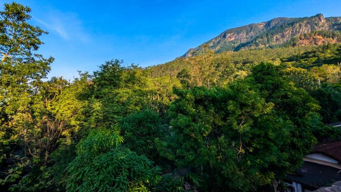 Kavi Guest Belihuloya