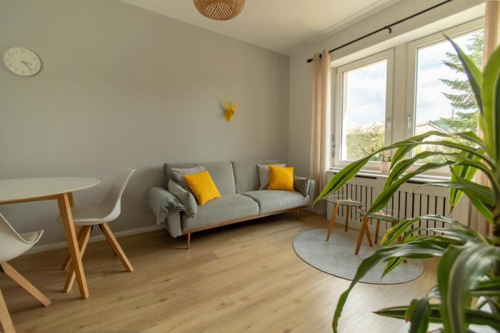 Löwe Apartment Gelb Tiengen Altstadt