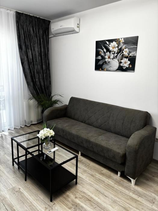 Anastasia Dragonul Roșu Spitalul Fundeni