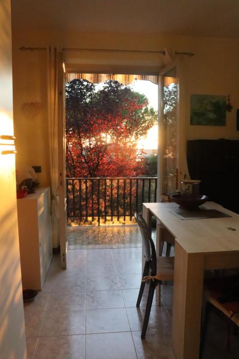 Monika Holiday 12 Beatrice Home