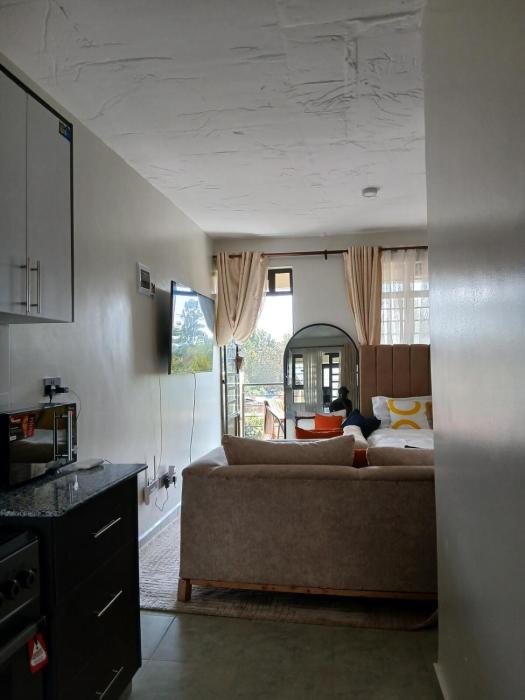 A cozy spacious studio apartment with a balcony