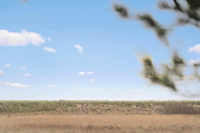 LF311-Hurup-Thy-Praestekravevej-11