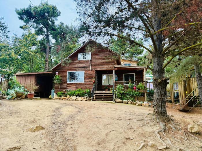 Cabaña del Bosque de Laguna Verde