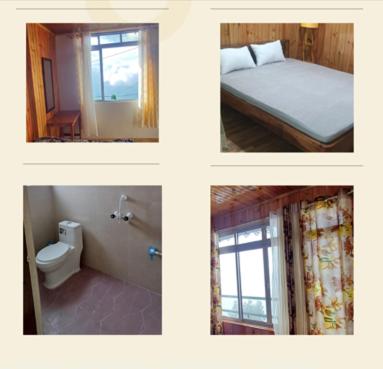 Tiny Haven Homestay and Café - Lamahatta