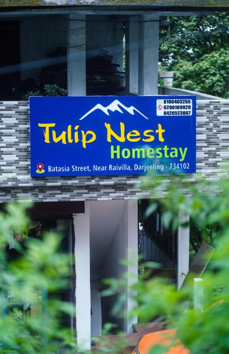 Tulip Nest Homestay