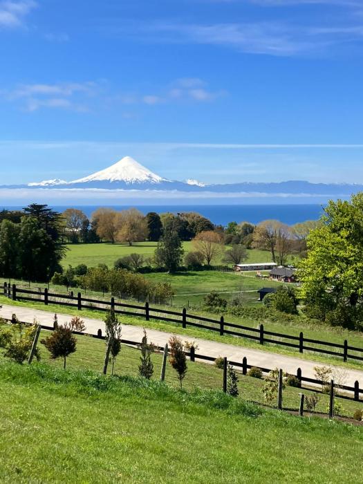 Vista Michay Tiny House