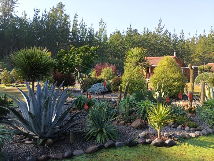 Eco Cabañas Algarrobo