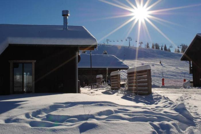 Chalet Petit Pierre Les Gets - Mountain Voyages