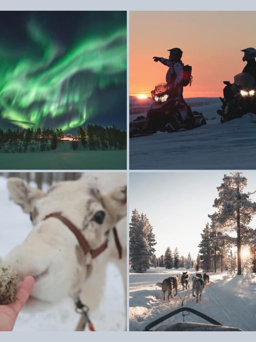 Kelo Resort - northern lights and wilderness adventures in Kittilä