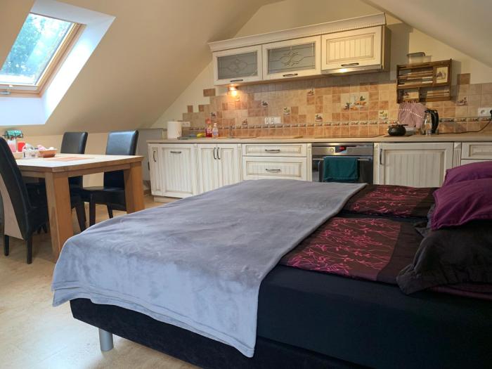 Studio z kominkiem Leśna sauna Jacuzzi Hot Tuba