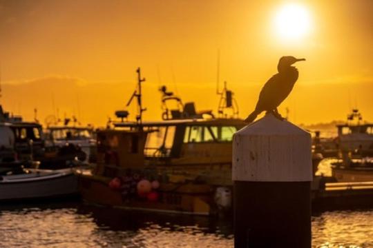 Poole Quay Apartment - Perfect Location - Beatiful Roof Terrace - Free Parking