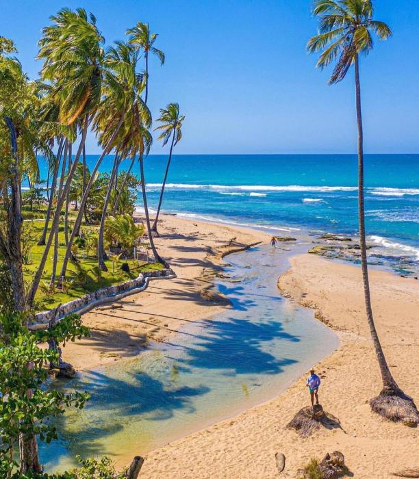 Beach Bungalow 100 m Playa Coson