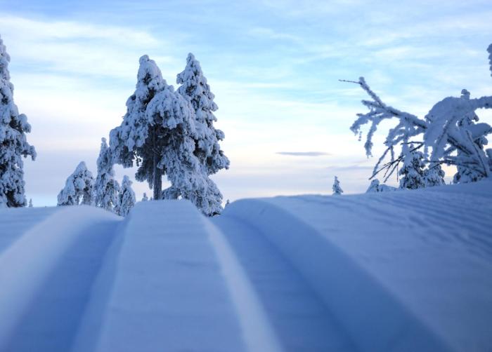 15 - Fulufjellets nasjonalparker - snø - alpint - langrenn - snøscooter