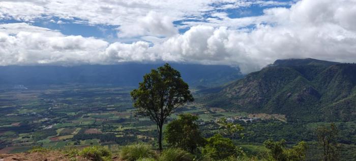 Misty Views Homestay