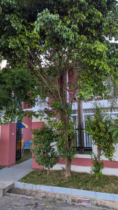 Villa 19 Zone 2 Millennium City - Jaela