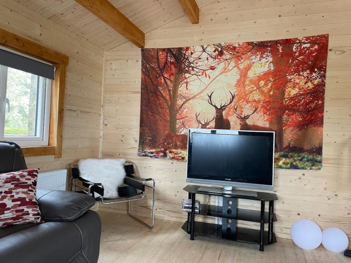 Log Cabin with Hot Tub Large Patio Near Cork city